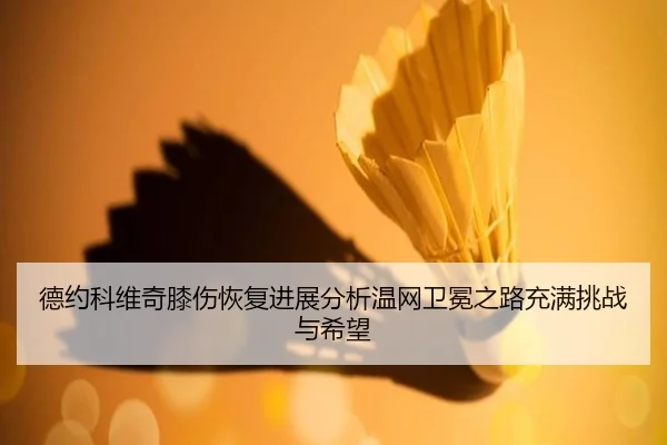 德约科维奇膝伤恢复进展分析温网卫冕之路充满挑战与希望
